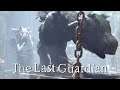 19: Kampf der Giganten 🏃 THE LAST GUARDIAN  (Streamaufzeichnung)