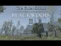 Let's Play ESO - Blackwood [Blind] [Deutsch] Part 11 - Zu Tode bewundert