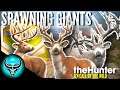 MONSTER PIEBALD BUCK | Diamond Whitetail 29 & 30 While Grinding For Great One #2! | Call of the Wild