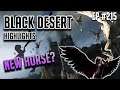 New Tier 10 Horse!! - Black Desert Highlights and Funny Moments #215 (PVP, PEN, etc)
