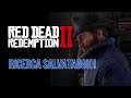 RICERCA SALVATAGGIO! | RED DEAD REDEMPTION II | Gameplay ITA #02