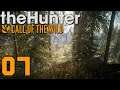 TheHunter : Call of the Wild | La détente dans tous les sens! | #07