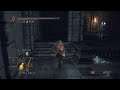 Dark Souls 2 PS4 - Hex build - part 14
