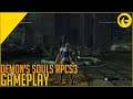Demon's Souls RPCS3 PC Gameplay w/Reshade