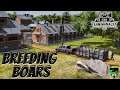 Farm Manager 2021 Ep 12 | Breeding Boars |