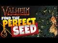 How To Find The Perfect Seed In Valheim