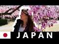JAPAN Impressionen-Trailer