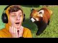 MIJN FAVORIETE DIER IS TERUG! | Planet Zoo #8