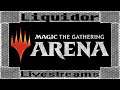 Questions & Answers For Beginners |Magic the Gathering Arena|