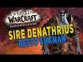 Shadowlands Heroic Sire Denathrius - RESTO SHAMAN Raid Gameplay | Castle Nathria - WoW