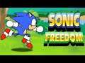 Sonic Freedom (Sonic Fangame)