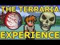The Average Terraria Experience