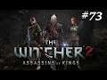 The Witcher 2 #73 Nach Loc Muinne //Let's Play [QHD][GER]