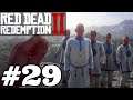 Turtle Cult - Red Dead Redemption 2 - Ep 29