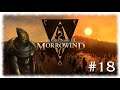 The Elder Scrolls III: Morrowind ~ Blind Let's Play Part 18, Just Let me Sleep!