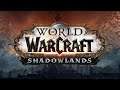 качаю 200iq перса с нуля World of Warcraft Shadowlands 1-19 уровень Механогном