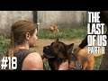 DOBRA PSINA! [#18] The Last of Us: Part II