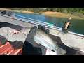 I caught a Fishie at Applegate Lake - Go Pro Hero 9 Black 4K Footage