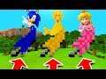Minecraft PE : DO NOT CHOOSE THE WRONG FEATHER! (Sonic, Big Bird & Princess Peach)