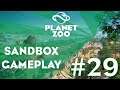 PLANET ZOO Sandbox Gameplay (Episode #29)