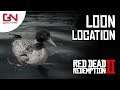 Red Dead Online - Loon Location - 1 Loons Skinned - Daily Challenge