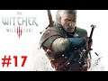 Let's Play The Witcher 3: Wild Hunt Death March -  Episode 17