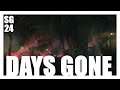 Days Gone - Gameplay FR 4K High Settings PC [ Les Jumelles ] Ep24