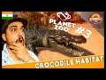 Part 3 - Planet Zoo Live India | Let's Build Exotic Crocodile Habitat Today ⚡
