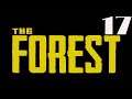 The Forest PS4 Walkthrough part 17