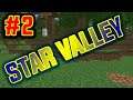 VOORTGANGS-RAPPORT - Star Valley #2