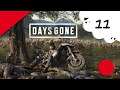 🔴🎮 Days Gone - ps4 - 11