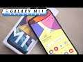 Samsung Galaxy M11 - The Best Non Chinese Budget Option? Unboxing & Hands On!