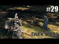 НАГИБАТЕЛЬНОЕ ПРОШЛОЕ►Прохождение Dark Souls Remastered #29
