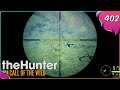 The Hunter Call Of The Wild #402 - Diamant-Abschuss in letzter Sekunde [Gameplay | Deutsch]