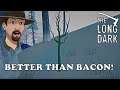 My Stick Is Better Than BACON!- HARDER THAN INTERLOPER- The Long Dark- S2 Ep 7