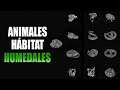 Red Dead Redemption 2 Online – Localización de los 13 animales de “Hábitat: Humedales” (Naturalista)