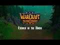 Warcraft 3:Re-Reforged - Chasing Visions (1)