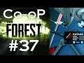 Co-oP The Forest #37. The Best Weapon