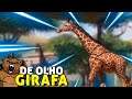 Girafa Reticulada | De olho nos animais - Planet Zoo