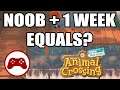 I played Animal Crossing New Horizons every day for 1 hour!