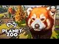 O Panda Vermelho mais Fofo! | Planet Zoo #02 | Gameplay pt br