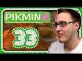 Pikmin 2 – New Play Control! [Deutsch/Blind/100%] (Part 33): Herbstliches Land der Verheißung!