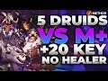 5 DRUIDS COMPLETE +20 KEY? NO HEALER!