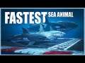 GTA V - Which is the Fastest Sea Animal?