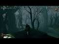 VALHEIM : The Swamp Path