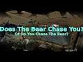 Who Does The Bear Chase - Zday On DayZ