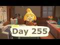 Animal Crossing New Horizons Chill Stream Day 255