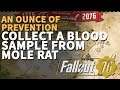 Collect a blood sample from Mole Rat An Ounce of Prevention Fallout 76