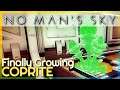 Finally Growing Coprite | 4K | No Man's Sky #30