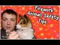 Firework Pet Safety Tips - Dog and Cat Edition - MumblesVideos